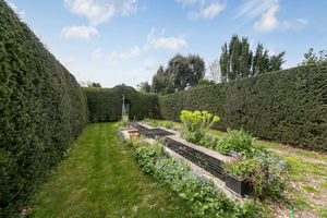 Garden- click for photo gallery